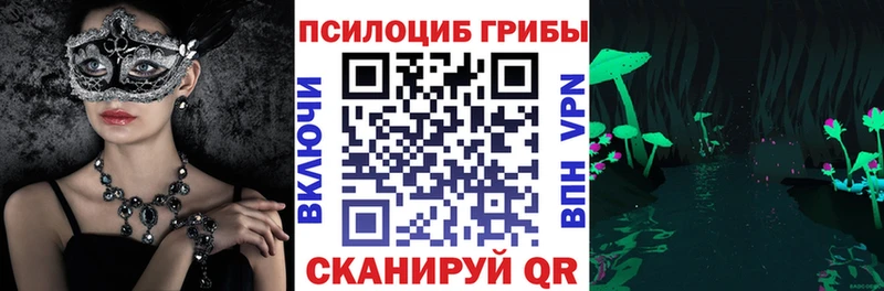Галлюциногенные грибы MAGIC MUSHROOMS  мега как зайти  Александровское  где найти наркотики 